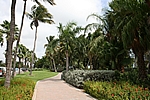 Aruba - Wilhelmina Park in Oranjestad