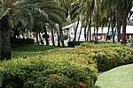 Aruba - Saftiges Grün im Wilhelmina Park von Oranjestad