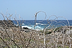 Aruba - Nordküste