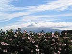 Insel Faial (Azoren) - Blick auf die Nachbarinsel Pico mit dem gleichnamigen höchsten Berg Portugals (2.351 m)