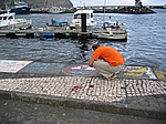 Insel Faial (Azoren) - es ist alte Tradition, dass sich Atlantiküberquerer an der Hafenmauer von Horta künstlerisch verewigen