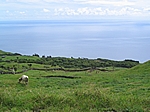 Insel Pico (Azoren) - Hochebene im Inselinneren