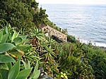 Insel Sao Miguel (Azoren) - Unser Häuschen in Ribeira Quente