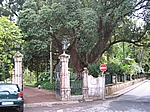Insel Sao Miguel (Azoren) - Furnas; Eingang zum Parque Terra Nostra (1854)
