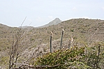 Curacao - Unterwegs im Christoffel Nationalpark, im Hintergrund der Mt. Christoffel, mit 372 m der höchste Punkt Curacaos