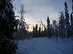 Finnisch Lappland - Mittagssonne (200 km nördlich des Nördlichen Polarkreises)
