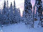 Finnisch Lappland - Schneesicher ab Mitte Oktober