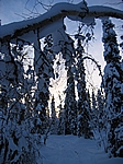 Finnisch Lappland - Schneesicher ab Mitte Oktober