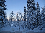 Finnisch Lappland - Blick von der Veranda zum See