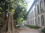 Lissabon - Jardim Botanico von 1840, direkt an der Escola Politécnica