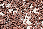 Chuao - Kakaobohnen