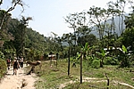Dschungeltour durch den Nationalpark Henri Pittier