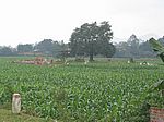 Auf dem Weg von Hanoi nach Sapa - Begräbnis auf dem Maisfeld