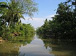 Im Mekong-Delta - In einem Nebenarm