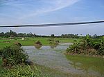 Im Mekong-Delta - Landschaft