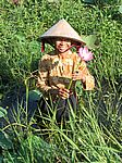 Im Mekong-Delta - Lotusblumenplantage