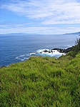 Insel Faial (Azoren)