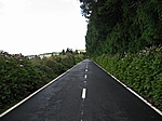 Insel Faial (Azoren) - Straße zur Caldeira am Cabeco Gordo (1.043 m)
