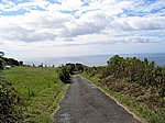 Insel Faial (Azoren) - Perspektive aus dem Inselinneren