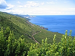 Insel Pico (Azoren) - Nordküste