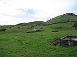 Insel Pico (Azoren) - Vulkankegel in der Hochebene im Inselinneren
