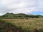 Insel Pico (Azoren) - Vulkankegel in der Hochebene im Inselinneren