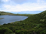 Insel Pico (Azoren) - Lagoa do Caiado, einer der Kraterseen in der Hochebene im Inselinneren