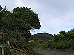 Insel Pico (Azoren) - Hochebene im Inselinneren