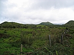 Insel Pico (Azoren) - Hochebene im Inselinneren