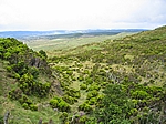 Insel Pico (Azoren) - Vergleichsweise karge Vegetation auf dem Pico