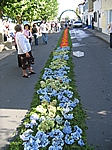 Insel Sao Miguel (Azoren) - Blumenteppiche für das Fest "Festa de Sao Paulo" in Ribeira Quente (28.-30.09.07)