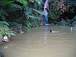 Insel Sao Miguel (Azoren) - Badebecken mit Wasserfall bei Caldeira Velha