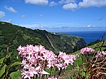 Insel Sao Miguel (Azoren) - Blick vom Miradouro da Ponta do Sossego