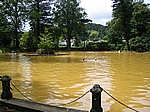 Insel Sao Miguel (Azoren) - Furnas; Warmwasserbecken im Parque Terra Nostra (1854)