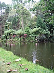 Insel Sao Miguel (Azoren) - Furnas; Parque Terra Nostra (1854)