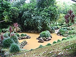 Insel Sao Miguel (Azoren) - Furnas; Parque Terra Nostra (1854)