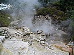 Insel Sao Miguel (Azoren) - Caldeiras, die heißen schwefeligen Quellen von Furnas