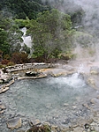 Insel Sao Miguel (Azoren) - Caldeiras, die heißen schwefeligen Quellen von Furnas