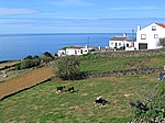 Insel Terceira (Azoren) - Auf dem Lande zwischen Angra und Porto Judeu
