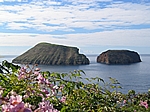 Insel Terceira (Azoren) - Blick auf die Ilhéus das Cabras