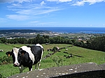 Insel Terceira (Azoren) - Im Inselinneren