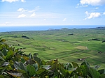 Insel Terceira (Azoren) - Serra do Cume