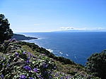 Insel Terceira (Azoren)
