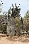 Curacao - Von Kakteen überwucherte Zorgvlied Ruinen im Christoffel Nationalpark