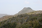 Curacao - Der Christoffelberg im gleichnamigen Nationalpark