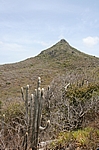 Curacao - Der Christoffelberg (372 m)