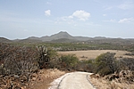 Curacao - Unterwegs im Christoffel Nationalpark