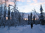 Finnisch Lappland - Heute werden wir Schneemobile fahren