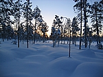 Finnisch Lappland - Schneemobiltour