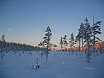 Finnisch Lappland - Huskytour